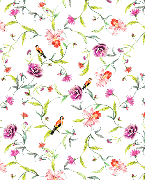 Rosa & Bird Luxe Pima Short Set